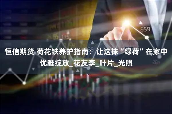 恒信期货 荷花铁养护指南:让这抹“绿荷”在家中优雅绽放_花友李_叶片_光照