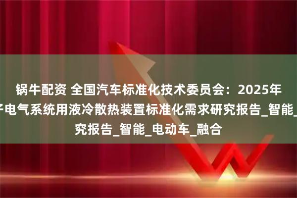 锅牛配资 全国汽车标准化技术委员会：2025年汽车低压电子电气系统用液冷散热装置标准化需求研究报告_智能_电动车_融合