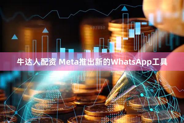 牛达人配资 Meta推出新的WhatsApp工具