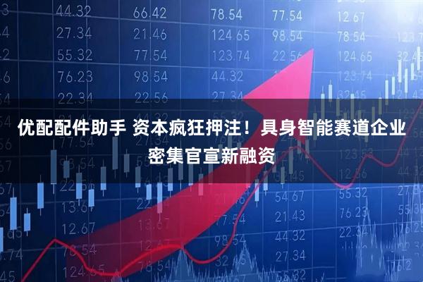 优配配件助手 资本疯狂押注！具身智能赛道企业密集官宣新融资