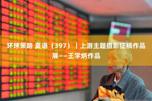 环球策路 夏语（397）｜上游主题摄影征稿作品展——王学炳作品